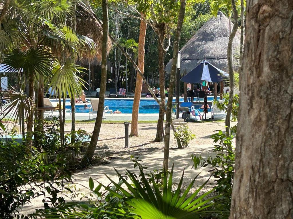 Nana's * Puerto Morelos